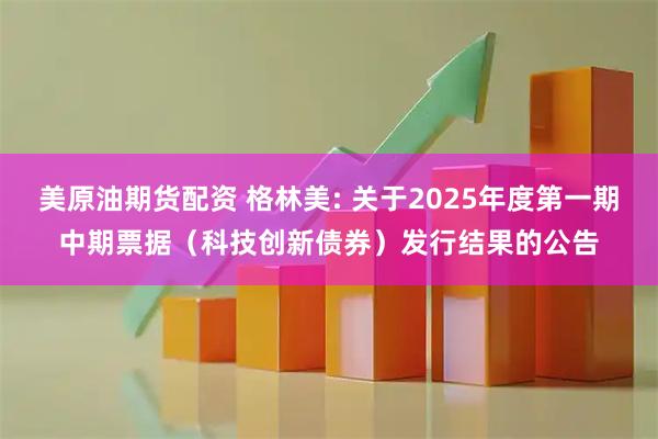 美原油期货配资 格林美: 关于2025年度第一期中期票据（科技创新债券）发行结果的公告