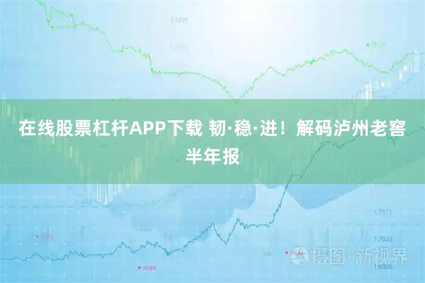 在线股票杠杆APP下载 韧·稳·进！解码泸州老窖半年报